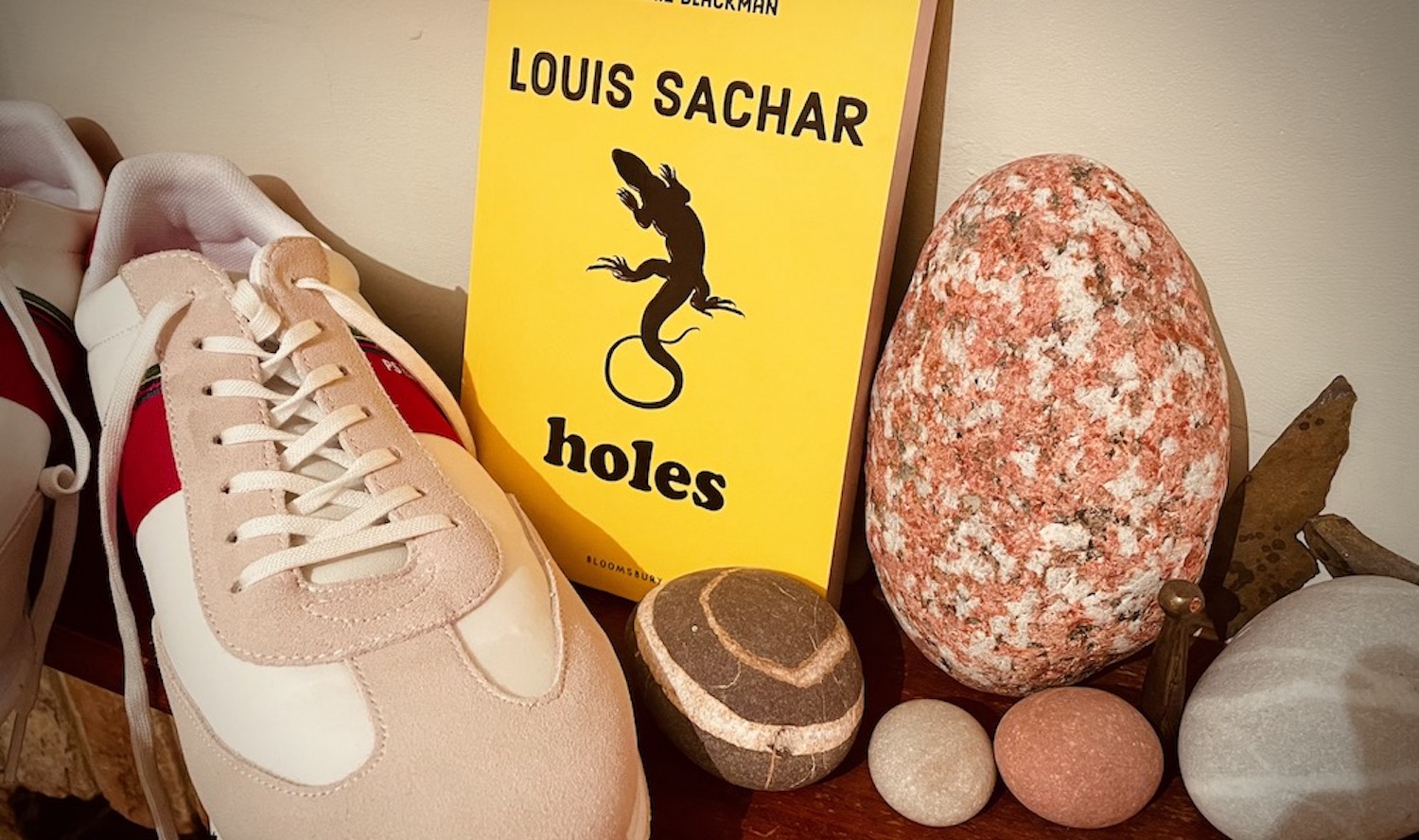 Holes by Louis Sachar – Little Blog of Library Treasures